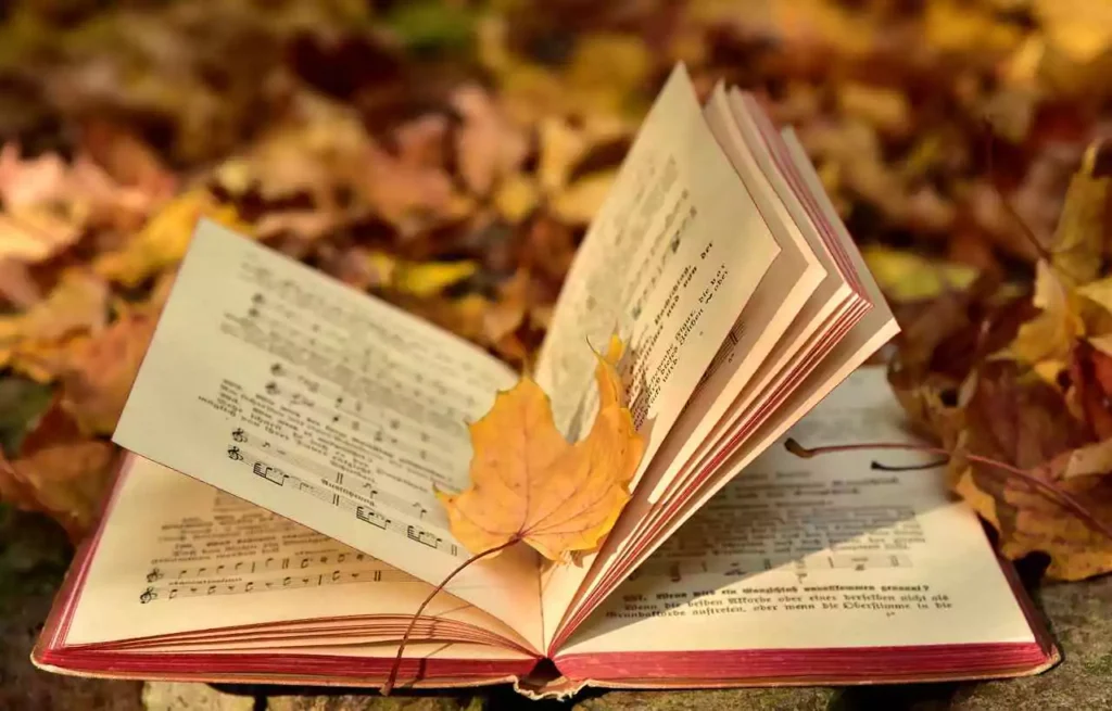 a-book-fall-leaf